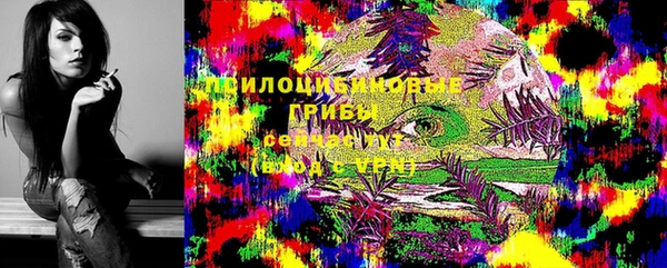 мяу мяу мука Абинск